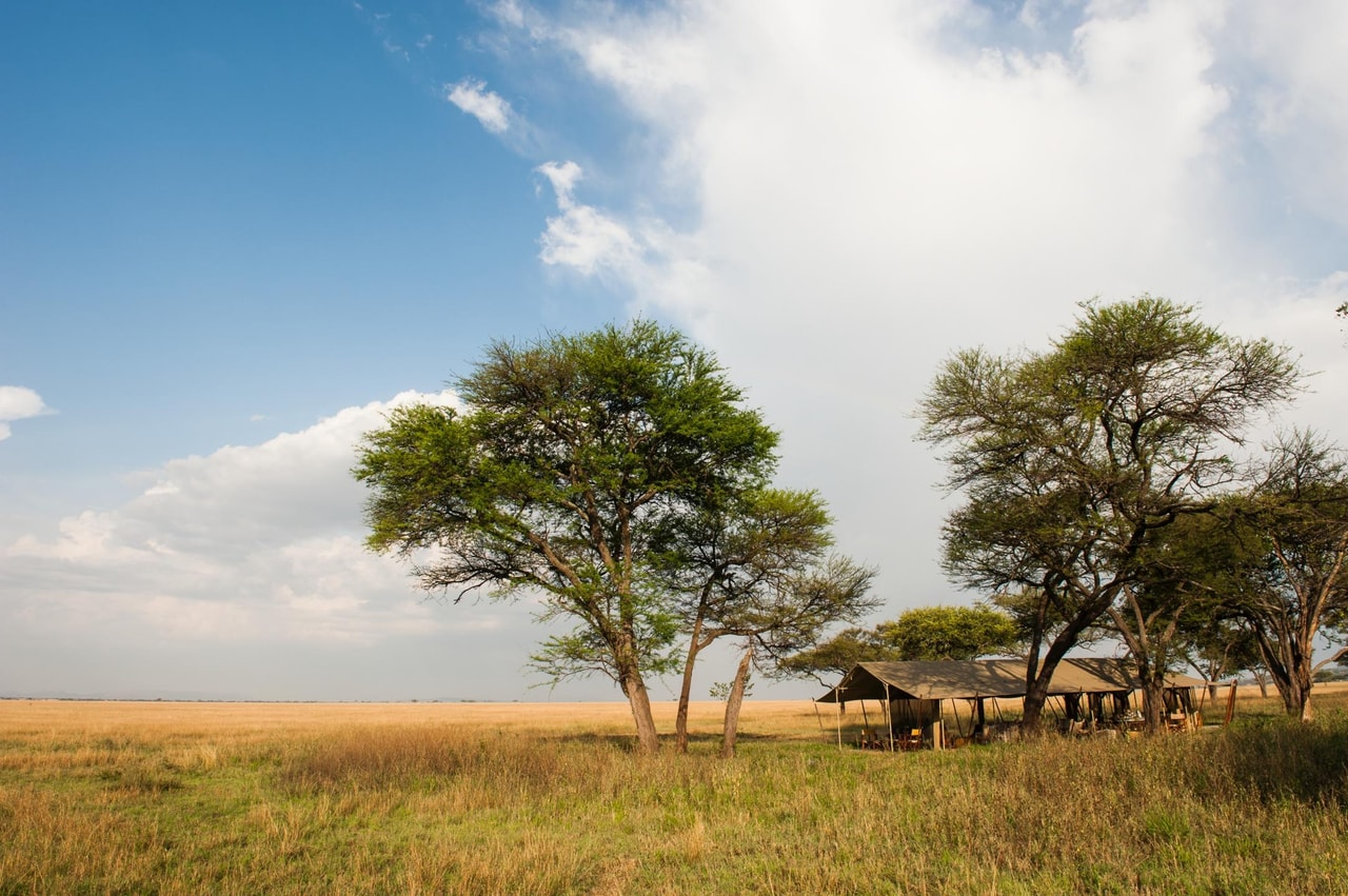 Serengeti Safari Camp