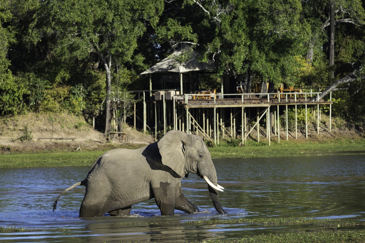 Falls & South Luangwa Classic