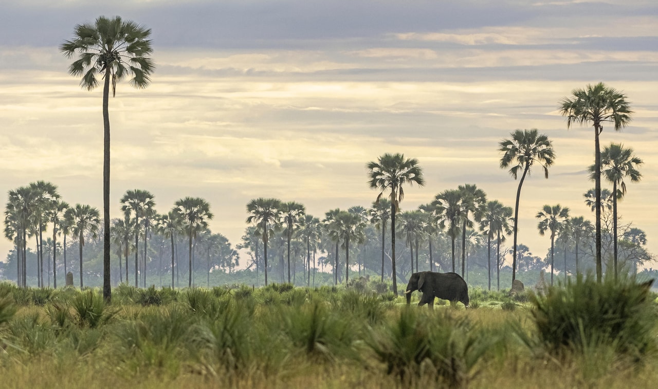 Best of Botswana