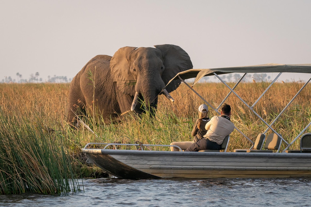 Wildlife Wonder