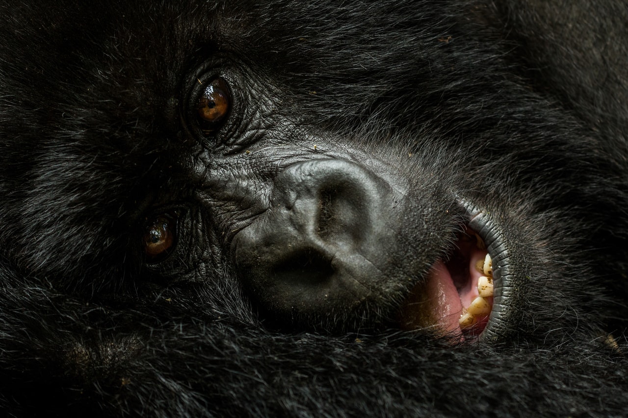 Best of Rwanda