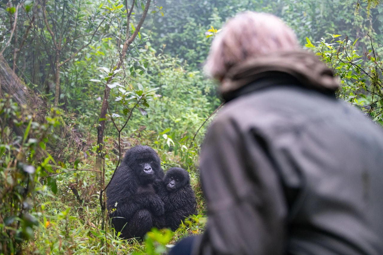 Primates and Paradise