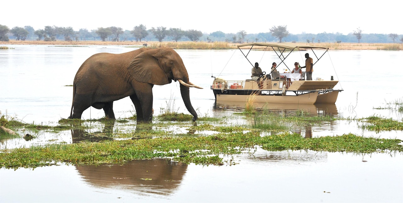 Charming Zambia