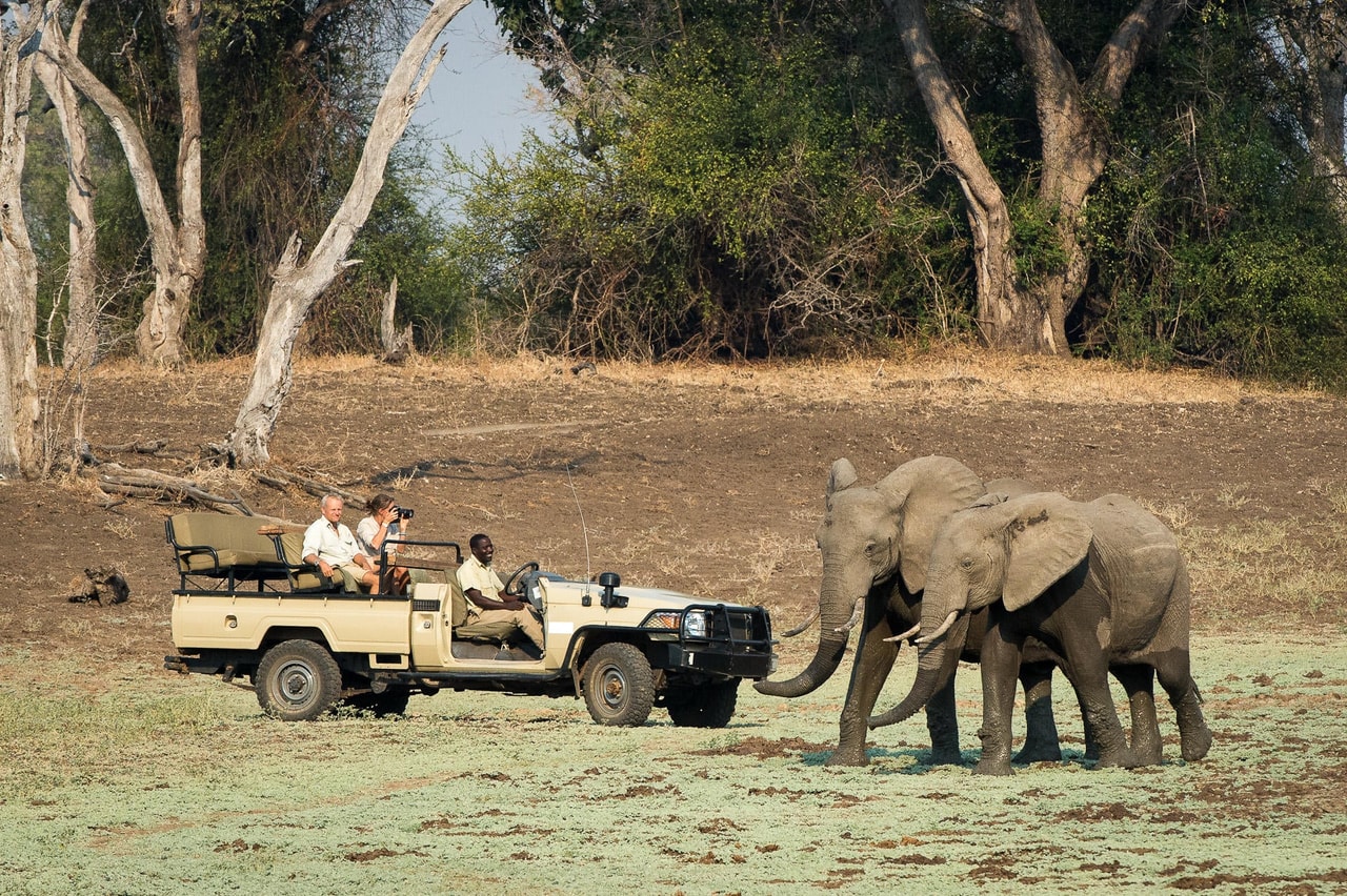 Truly Wild Zambia