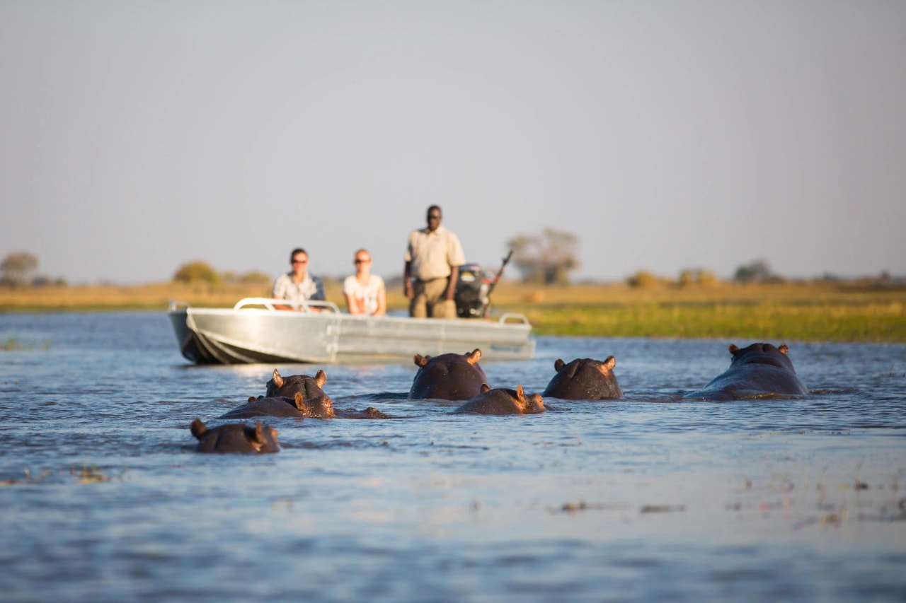 Magnificent Zambia
