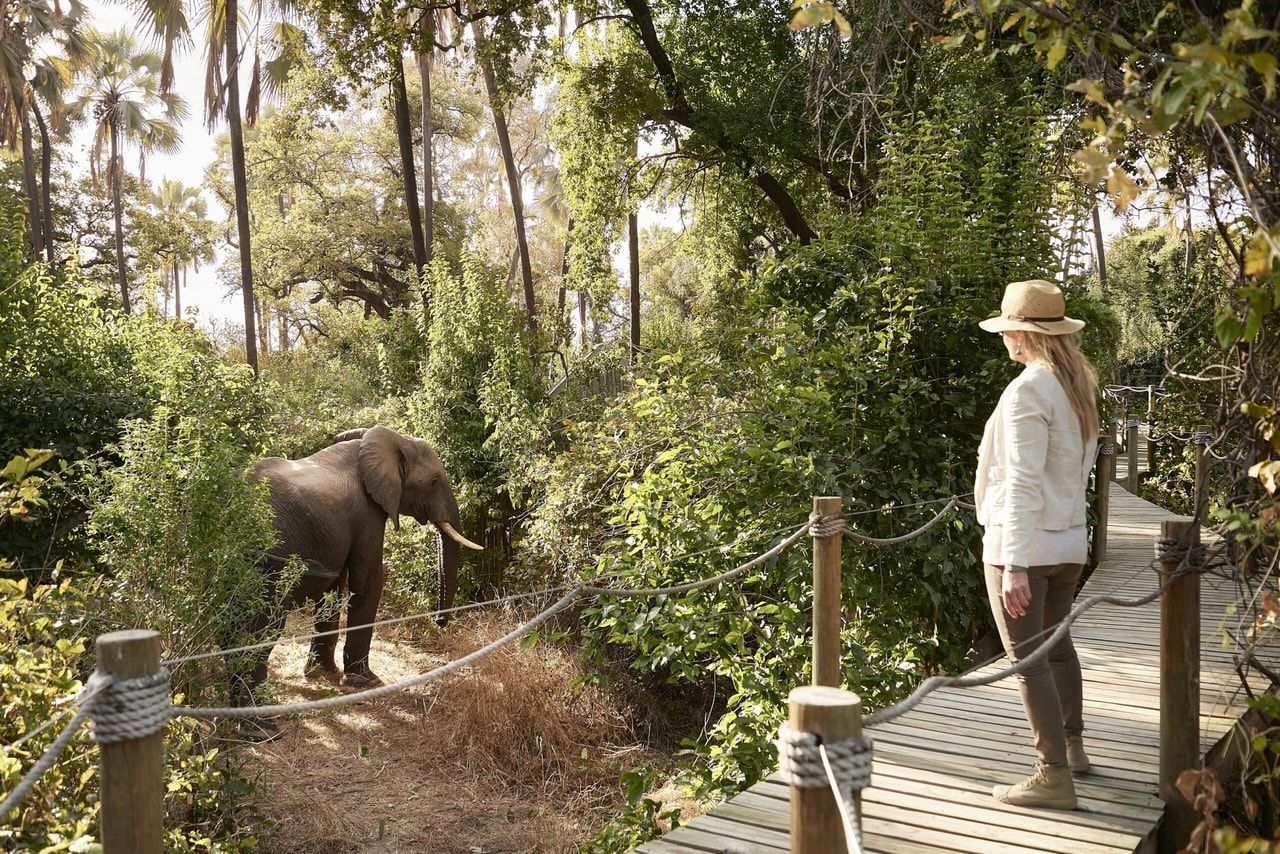 Victoria Falls River Lodge