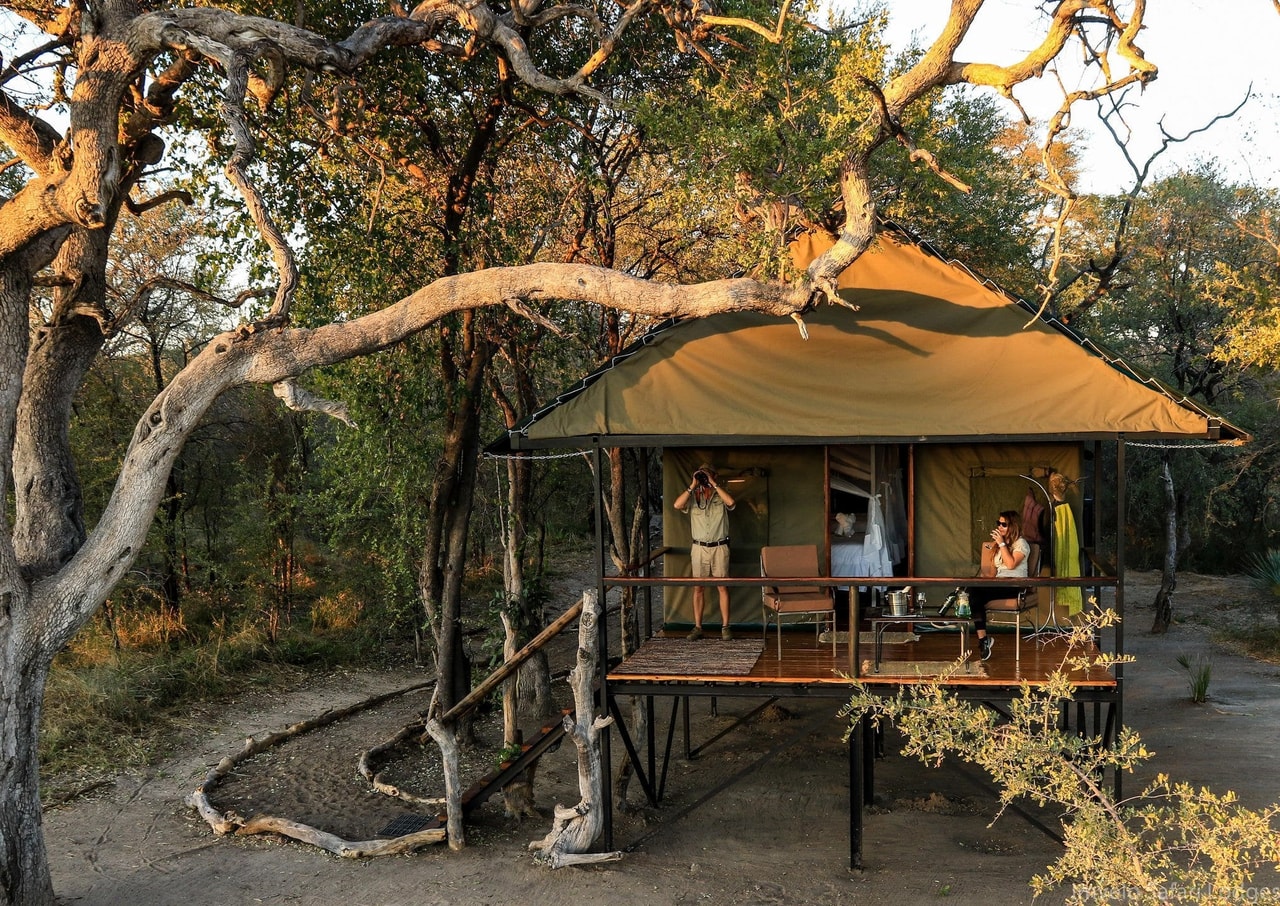 Bomani Tented Camp
