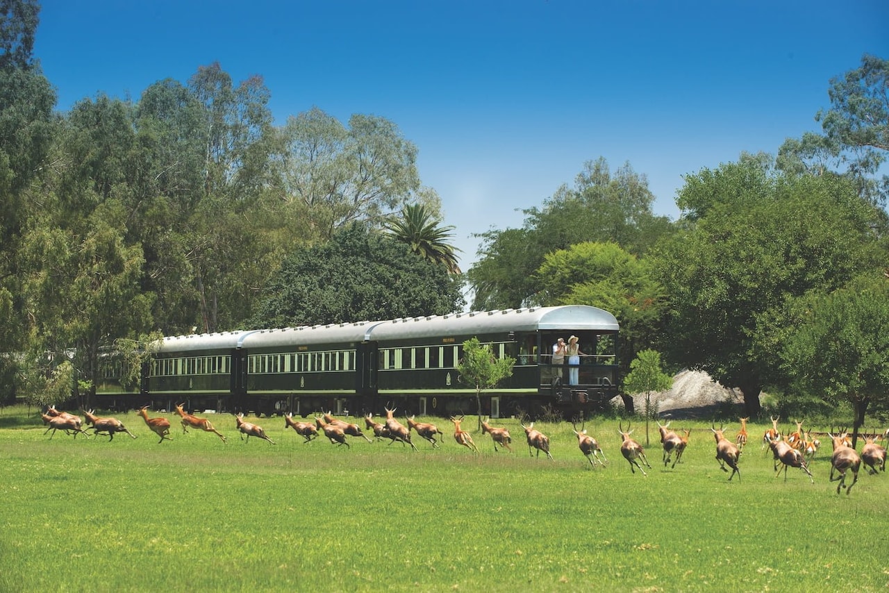 Vic Falls to Cape Town By Train