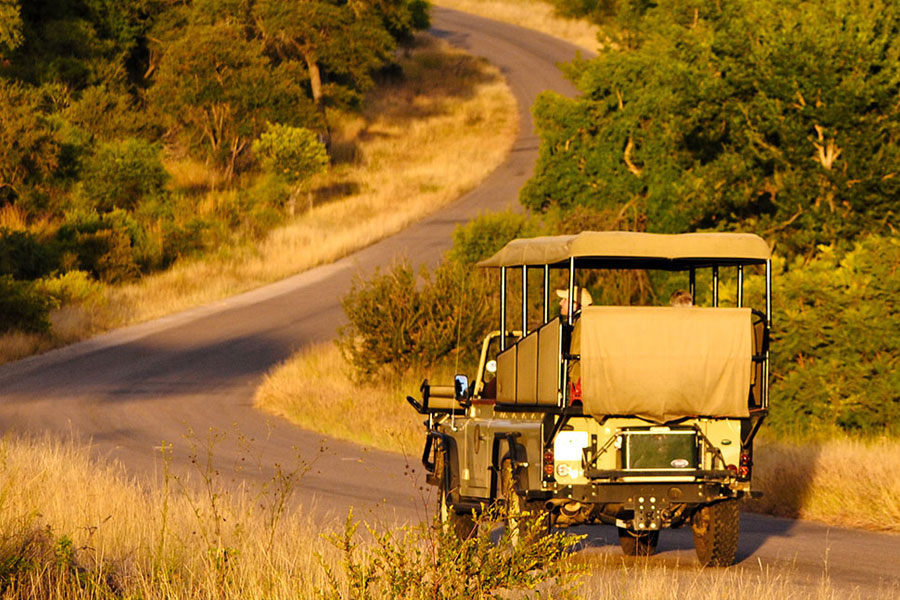 Kruger Park Combo Safari - Biggestleaf Travel