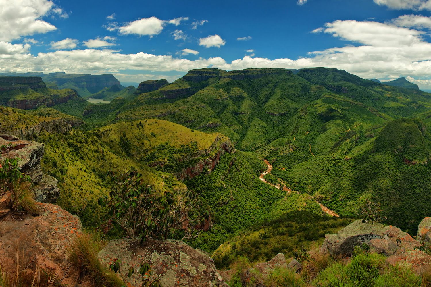 safari holiday in south africa